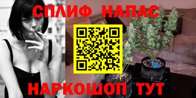 гидра Бузулук